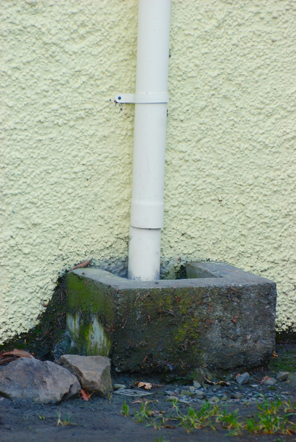 White downspout empties into a mossy concrete basin.